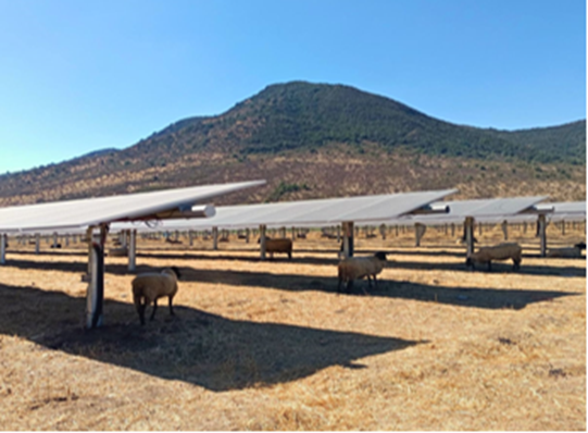 PowerFit-Agri: Driving the Integration of Photovoltaics and Ecological Agriculture, Ushering in a New Era of the Green Economy