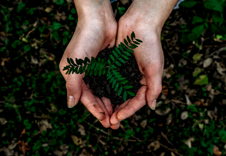 Environmental Management System